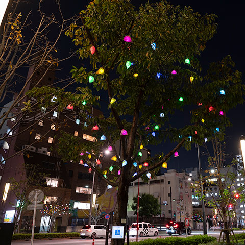 Tree4