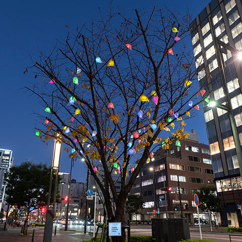Tree5