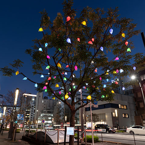 Tree6