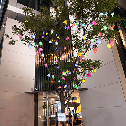 Tree10