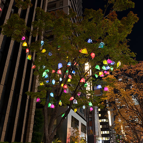 Tree15